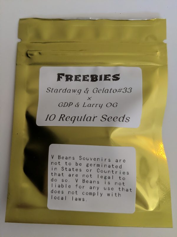 [V Beans] V4: Purple Punch x City Slicker – 10+ pack