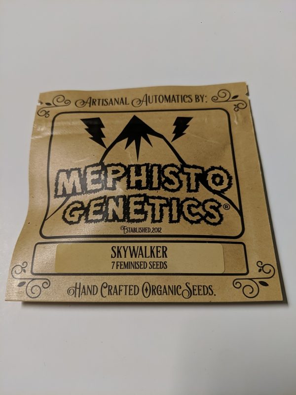 [Mephisto] Skywalker auto: Skywalker Kush x (Triangle Kush f3) – 7 pack fem