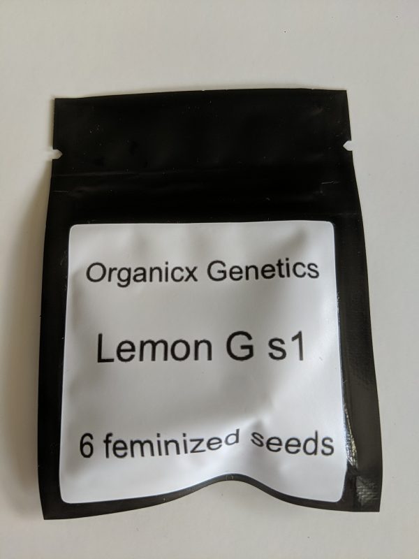 [Ohio Organicx] Ohio Lemon G s1 – 6 pack fem