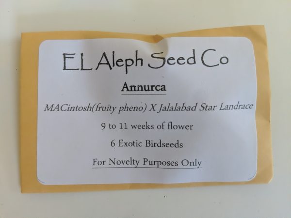 [El Aleph] Annurca: MACintosh x Jalalabad Star Afghan – 5 pack