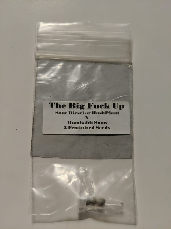 [CSI Humboldt] The Big Fuck Up: Sour Diesel or Hash Plant x Humboldt Snow – 3 pack fem