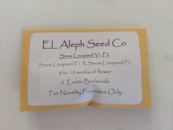 [El Aleph] Snow Leopard v1 f2 Bodhi: Tigermelon x Snow Lotus – 6 pack