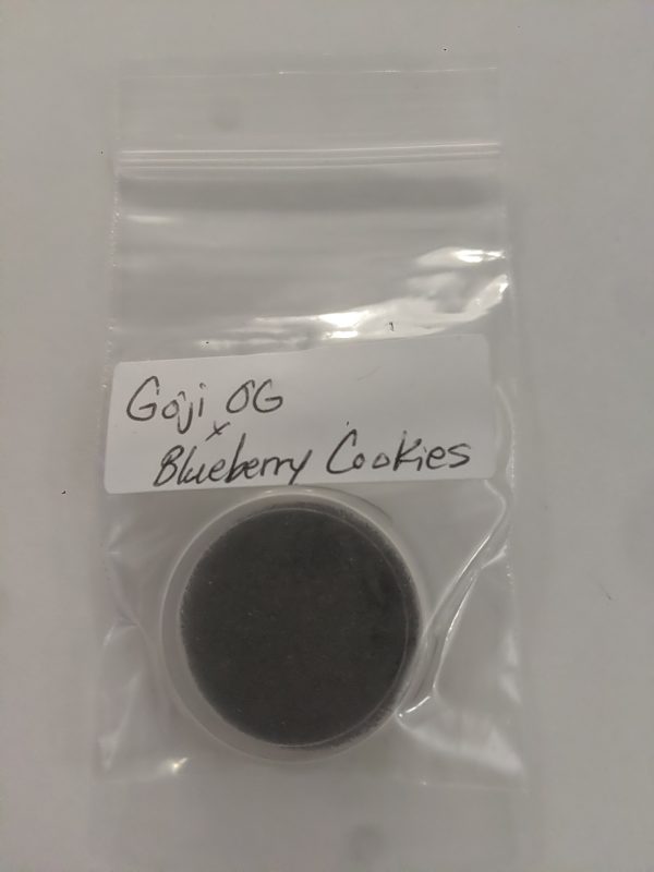 [The Guy Downtown] Goji OG Bodhi x Blueberry Cookies – 10+ pack